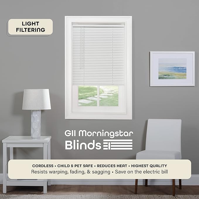 Cordless GII Morningstar 1" Light Filtering Mini Blind 28x64 - White