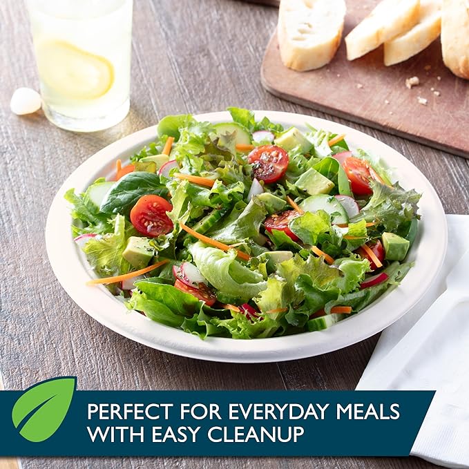Hefty ECOSAVE Compostable Paper Plates 8.5 Inch 22 Count