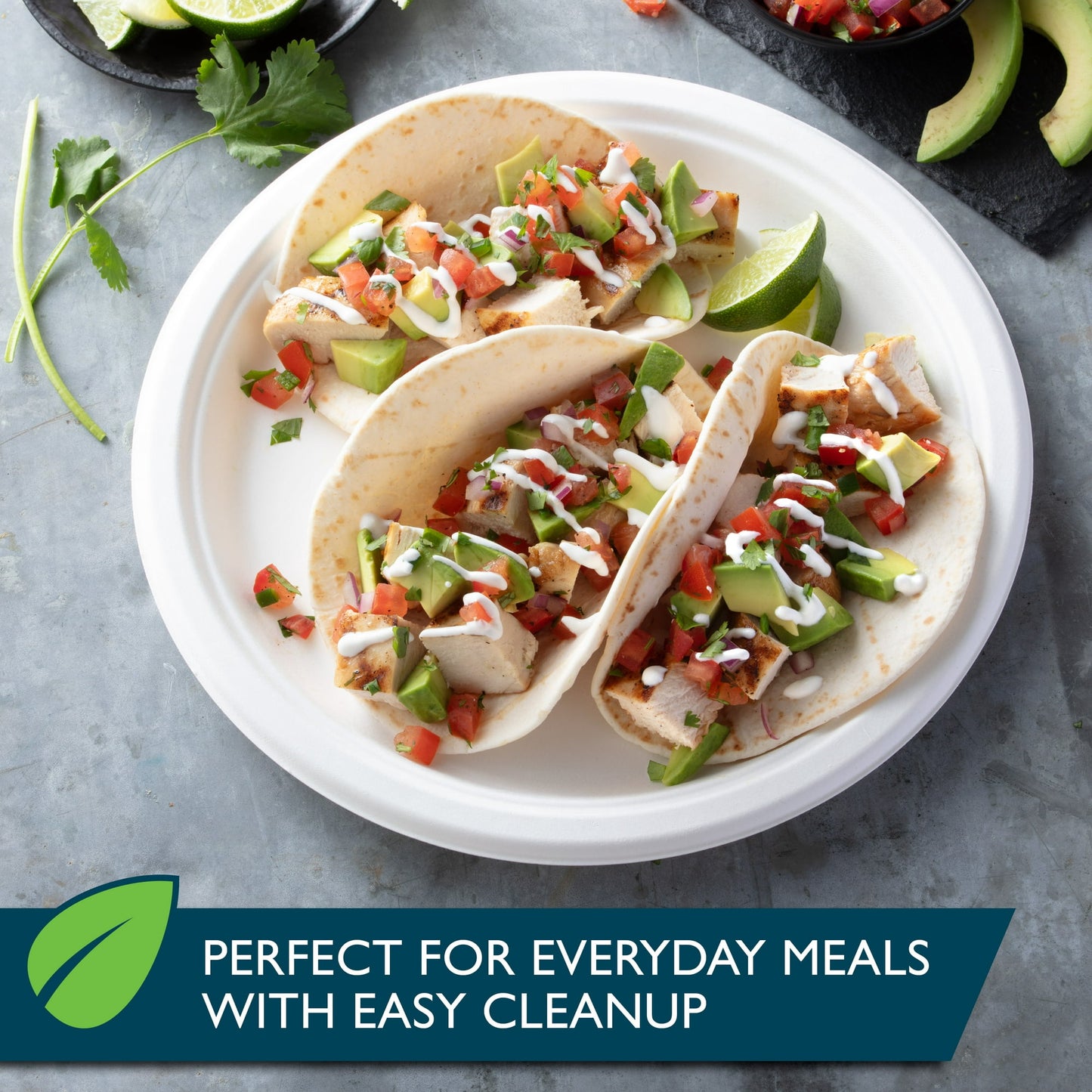 10” Hefty Plate Dinner 16 Count