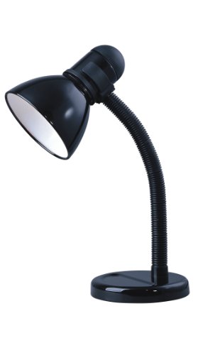 Park Madison Lighting Gooseneck Incandescent Desk Lamp